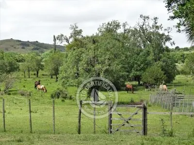 Casa Chalet en Vergel de San Francisco - retiro con encanto Lavalleja