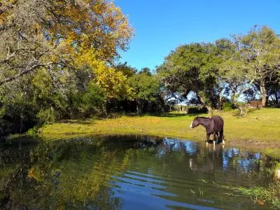 Casa Chalet en Vergel de San Francisco - retiro con encanto Lavalleja