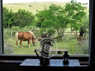 Casa Chalet en Vergel de San Francisco - retiro con encanto Lavalleja