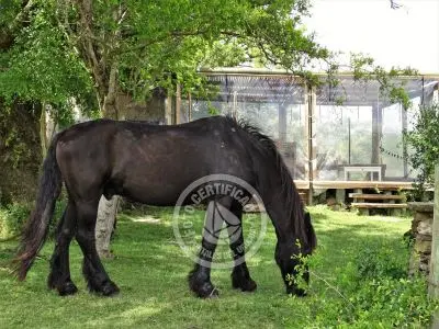 Casa Chalet en Vergel de San Francisco - retiro con encanto Lavalleja