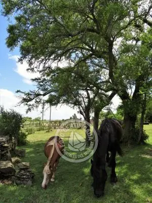 Casa Chalet en Vergel de San Francisco - retiro con encanto Lavalleja
