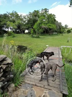 Casa Chalet en Vergel de San Francisco - retiro con encanto Lavalleja