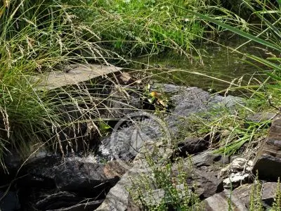 Casa Chalet en Vergel de San Francisco - retiro con encanto Lavalleja