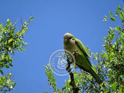 Casa Chalet en Vergel de San Francisco - retiro con encanto Lavalleja