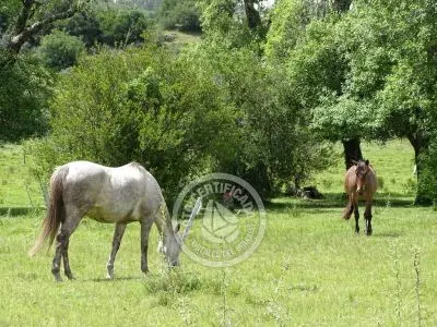 Casa Chalet en Vergel de San Francisco - retiro con encanto Lavalleja