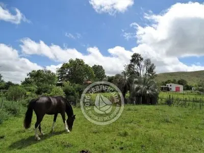 Casa Chalet en Vergel de San Francisco - retiro con encanto Lavalleja