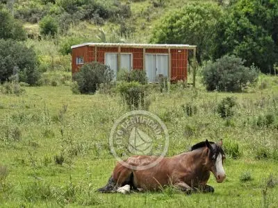 Casa Chalet en Vergel de San Francisco - retiro con encanto Lavalleja