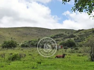 Casa Chalet en Vergel de San Francisco - retiro con encanto Lavalleja