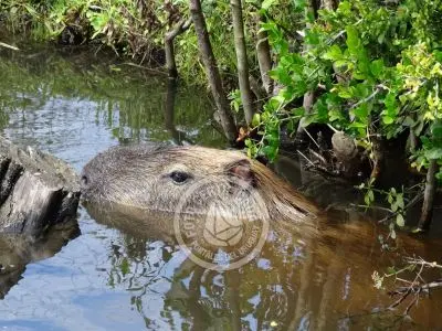 Casa Chalet en Vergel de San Francisco - retiro con encanto Lavalleja