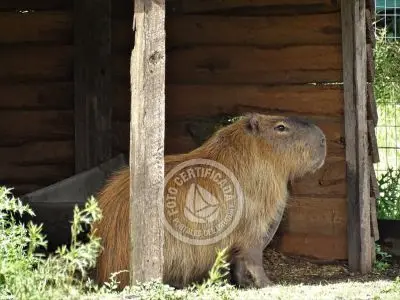 Casa Chalet en Vergel de San Francisco - retiro con encanto Lavalleja