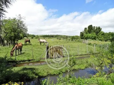 Casa Chalet en Vergel de San Francisco - retiro con encanto Lavalleja