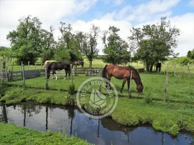 Casa Chalet en Vergel de San Francisco - retiro con encanto Lavalleja