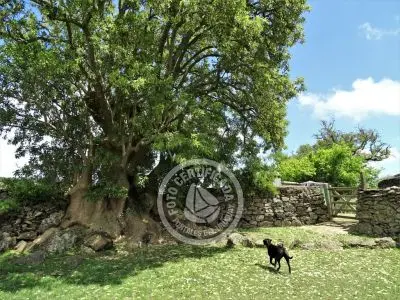 Casa Chalet en Vergel de San Francisco - retiro con encanto Lavalleja