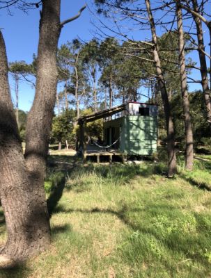 House Casita verde La Paloma