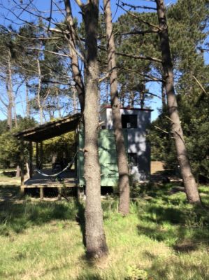 House Casita verde La Paloma