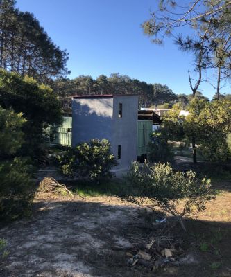 House Casita verde La Paloma