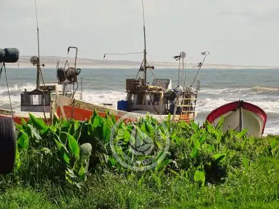 House La Higuera Cabo Polonio
