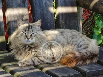 House La Higuera Cabo Polonio