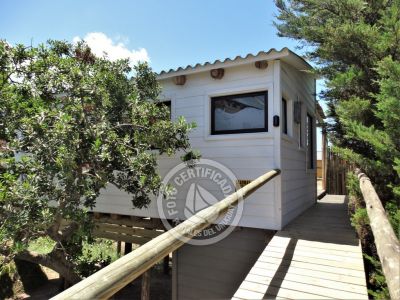 Lo de Noca - Noca Loft - Punta del Diablo