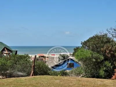 Plancton - Punta del Diablo