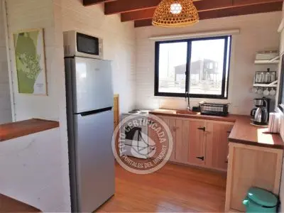 Plancton - Punta del Diablo