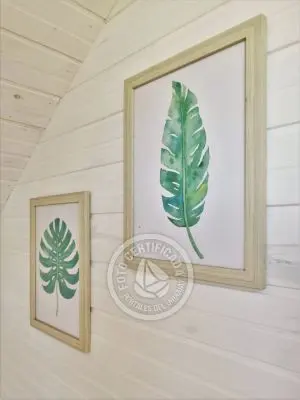 Plancton - Punta del Diablo