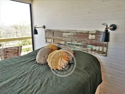 Plancton - Punta del Diablo