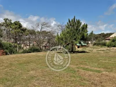 Plancton - Punta del Diablo