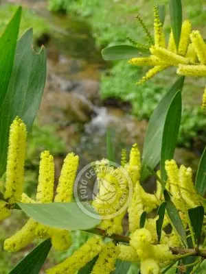 Casa El Rancho. Piriápolis