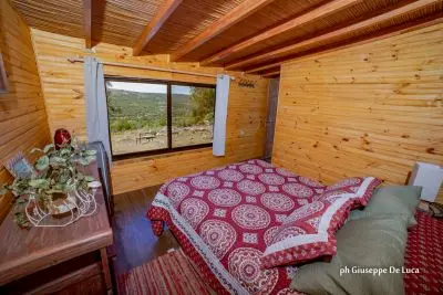 4 Vientos - Venite a casa  