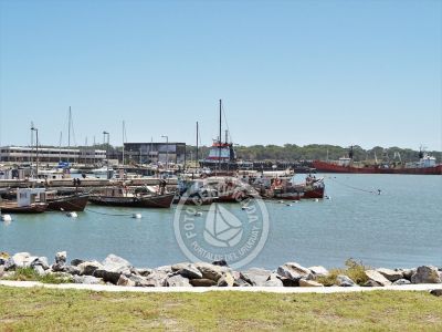 Paseo Marítimo Puerto de La Paloma