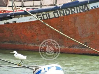 Paseo Marítimo Puerto de La Paloma