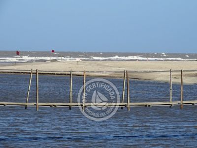 Puente Colgante La Coronilla