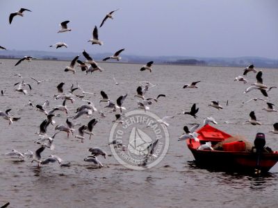 10 cosas para hacer en La Paloma