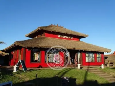 10 cosas para hacer en Punta del Diablo