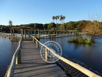 10 cosas para hacer en Punta del Diablo