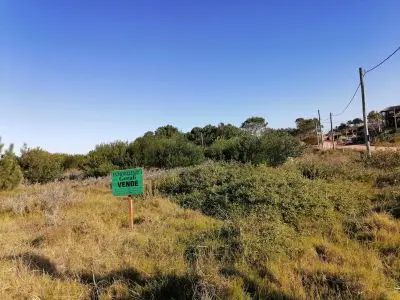 Manz 176 solares 2,3,4