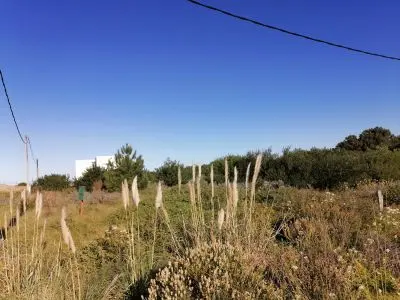Lots Manz 176 solares 2,3, 4 Punta del Diablo