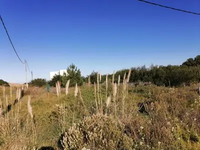 Lots Manz 176 solares 2,3, 4 Punta del Diablo