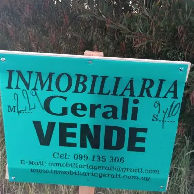 Manz 229 solares 9 y 10