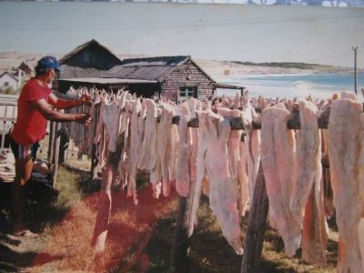 Dosmar luego de un día de trabajo.