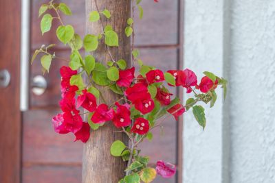 House Marrakech Villa Serrana Villa Serrana