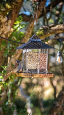 House Marrakech Villa Serrana Villa Serrana