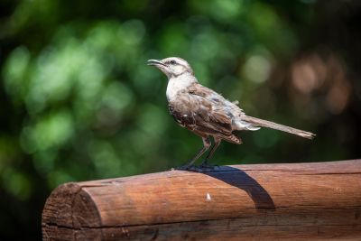House Marrakech Villa Serrana Villa Serrana