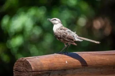 House Marrakech Villa Serrana Villa Serrana