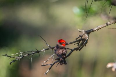House Marrakech Villa Serrana Villa Serrana