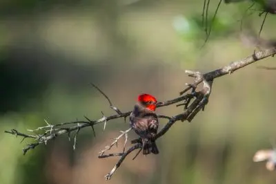 House Marrakech Villa Serrana Villa Serrana