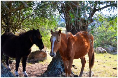 House Marrakech Villa Serrana Villa Serrana