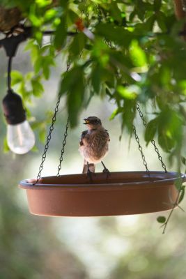 House Marrakech Villa Serrana Villa Serrana
