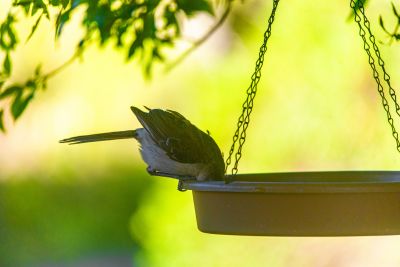 House Marrakech Villa Serrana Villa Serrana